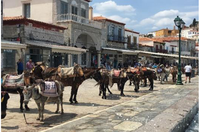 Greek island cruise Hydra, Poros, Aegina | Athens City Pass